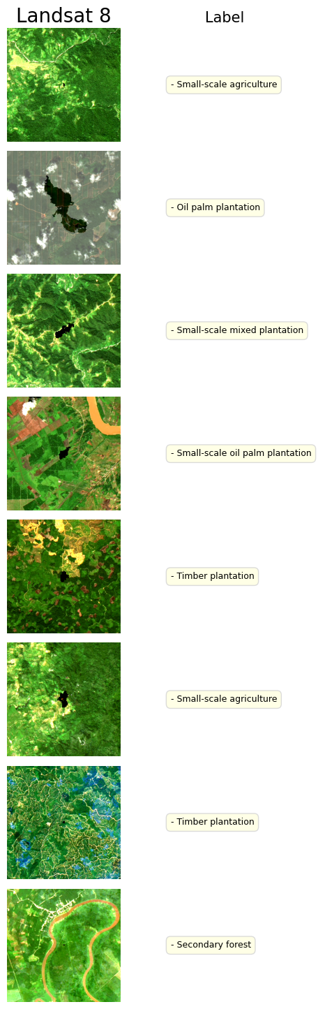 ../_images/dataset_notebooks_forestnet_7_0.png